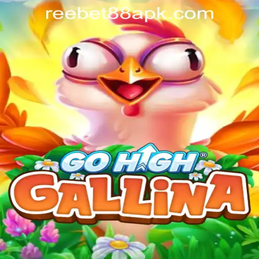 GoHighGallina: A Fascinating Adventure Game